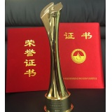 Certificate Trophy